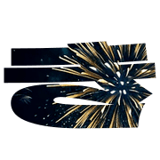 007