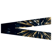 248