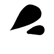 029