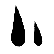 036
