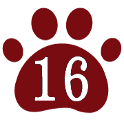 016