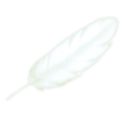 016
