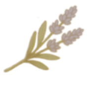 019