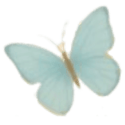 035