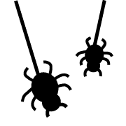 017