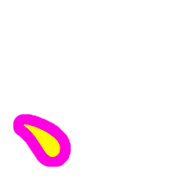 256