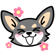 003