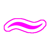 224