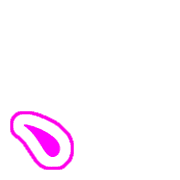256