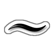 224