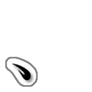 256