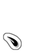 256