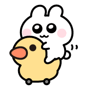 031
