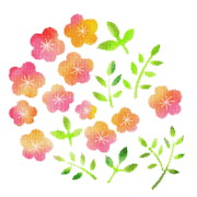 036