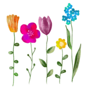 037