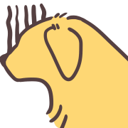 ลายที่ 28