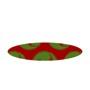 253