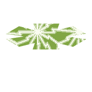 233