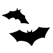 010