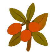 019