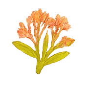 036