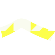 029