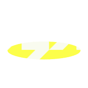 253