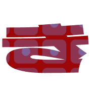 007