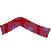 029