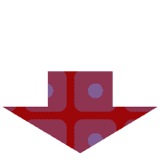 261