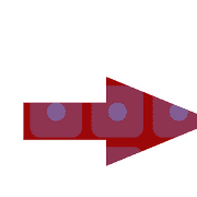 262