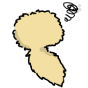 007