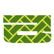 305