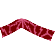 029