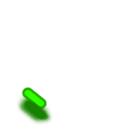 256