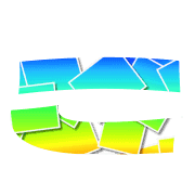 010
