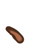 256