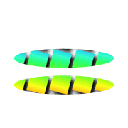 244