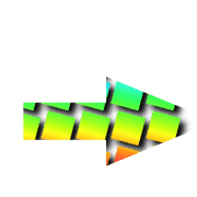 262
