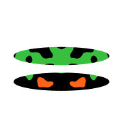 244