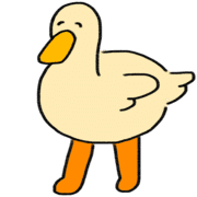 029