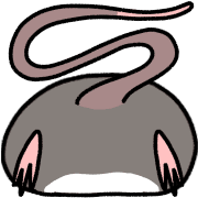 036