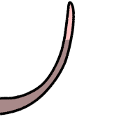 039