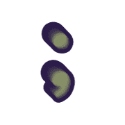 243