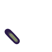 256