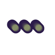 257