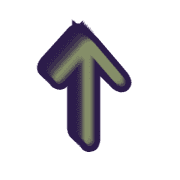260