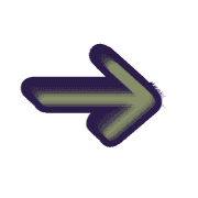 262