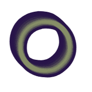 264