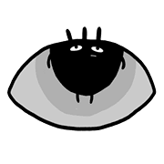 005